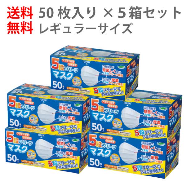 Leaffresh 5段プリーツマスク レギュラー 50枚入×5箱 計250枚